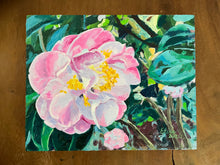 ‘Mrs. Lyman Clarke’ Camellia, Cloudy Day
