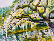 Morning Oak on the Water