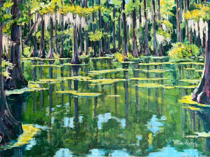Late Morning Cypress Swamp