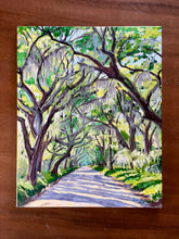 Botany Bay Spring Morning