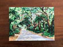 John’s Island Oak Lined Drive