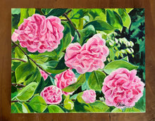 Afternoon ‘Debutante’ Camellias