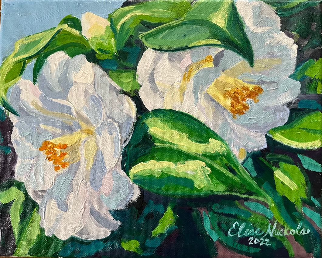 White Camellia Pair