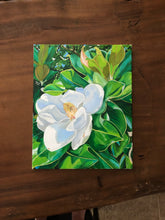 Magnolia in Bloom
