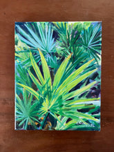 Saw Palms