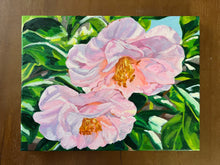 Blousy Blush Camellia