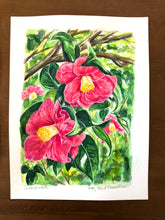 Red Camellia
