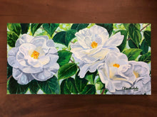 Four White Camellias
