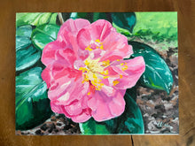 Cool Pink Camellia