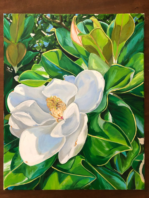 Magnolia in Bloom