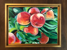 Peach Picking