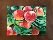 Peach Picking