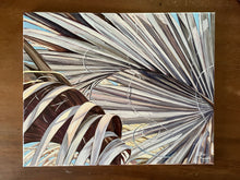 Weathered Fronds