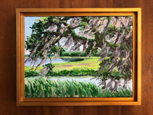 Afternoon Breeze in the Spanish Moss