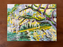 Morning Oak on the Water-Study