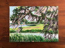 Afternoon Breeze in the Spanish Moss