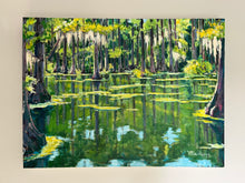Late Morning Cypress Swamp