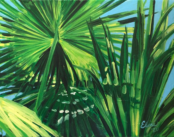Atlantic Street Palms Study II