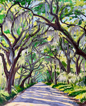 Botany Bay Spring Morning