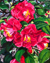 Charlestown Landing Red Camellias