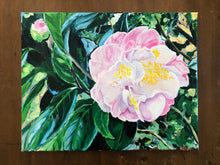 “Mrs. Lyman Clark” Camellia