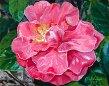 Charlean Camellia
