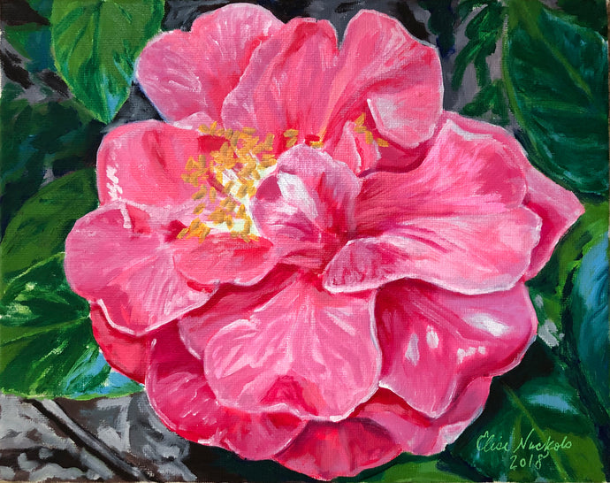 Charlean Camellia