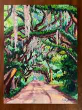 Morning Lowcountry Road