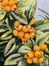 Loquats