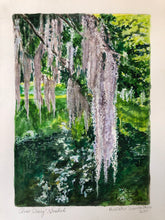 Middleton Place Spanish Moss