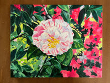 Height of Spring, Camellia and Azaleas