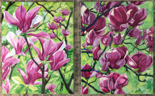 Saucer Magnolia II