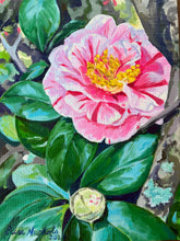Peppermint Camellia and Bud