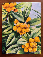 Loquats