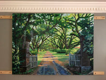 Old Oak Lined Drive