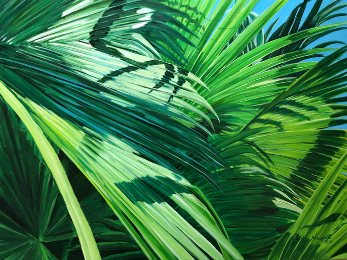 Atlantic Street Fan Palms