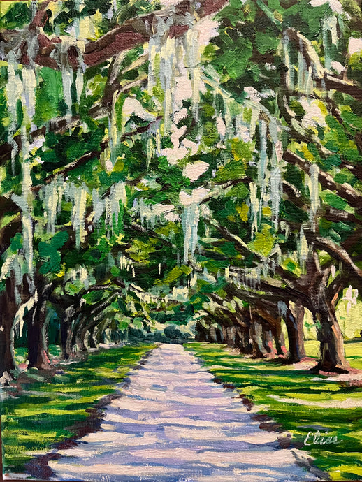 Boone Hall Oak Alley