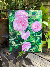 ‘Pink Perfection’ Camellia Japonica