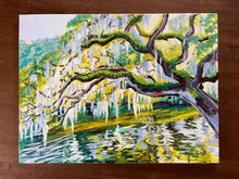 Morning Oak on the Water