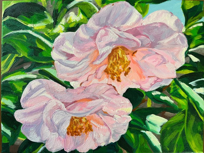 Blousy Blush Camellia