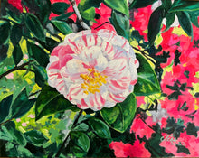 Height of Spring, Camellia and Azaleas