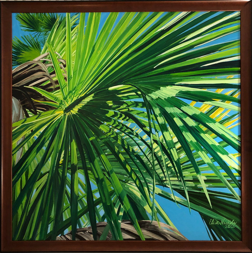 Frond Shadows
