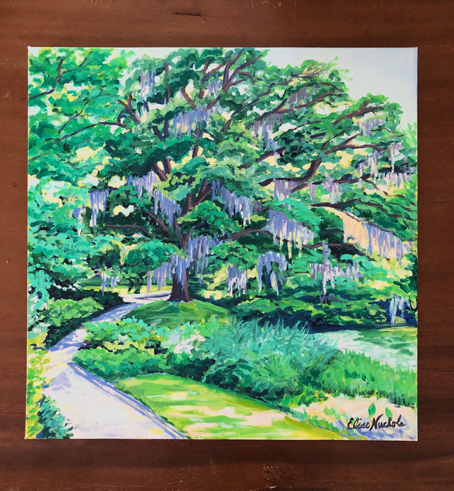 Afternoon Middleton Oak