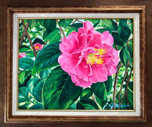Magnolia Plantation Pink Double Camellia