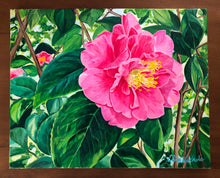 Magnolia Plantation Pink Double Camellia