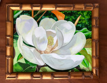 Early Magnolia Bloom