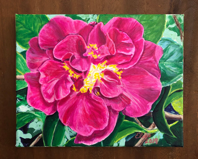 ‘Major General Pender’ Camellia
